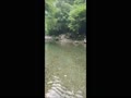 2018-07-26　川遊びチロル水中